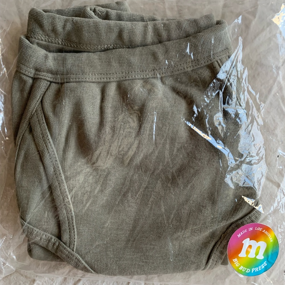 Big Bud Press unisex Classic Briefs- 2 pairs New in package Size Medium - Picture 3 of 8